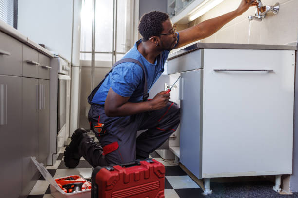 Best Plumbing Inspection Services  in St James City, FL