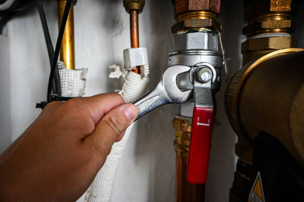 Best Sprinkler Systems  in St James City, FL